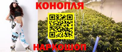 МДПВ Новозыбков