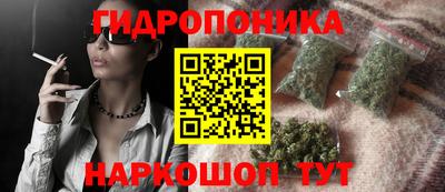 МДПВ Новозыбков
