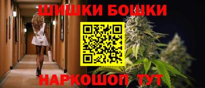 МДПВ Новозыбков
