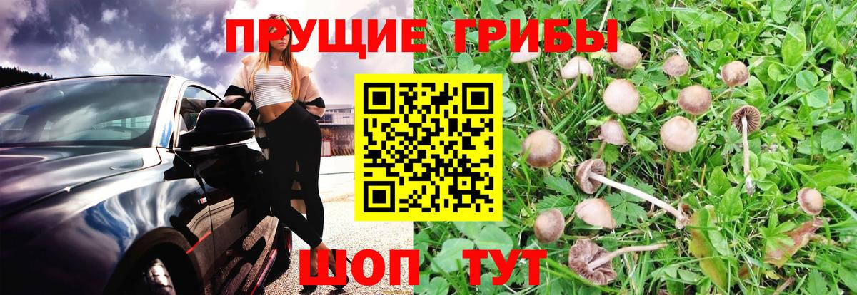 Семилуки  Псилоцибиновые грибы Cubensis  Галлюциногенные грибы Magic Shrooms  Вход с VPN 